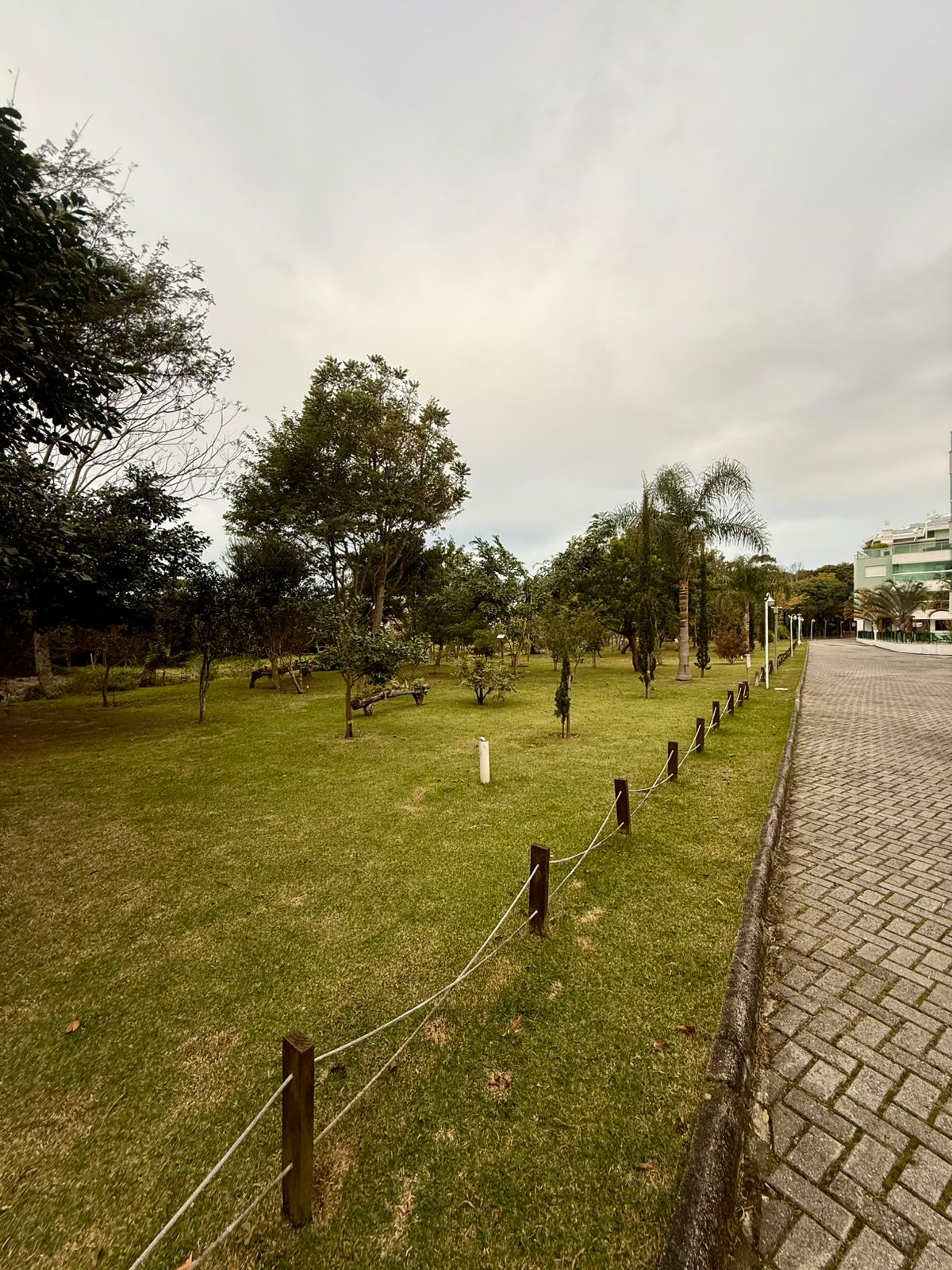 Imagen 15