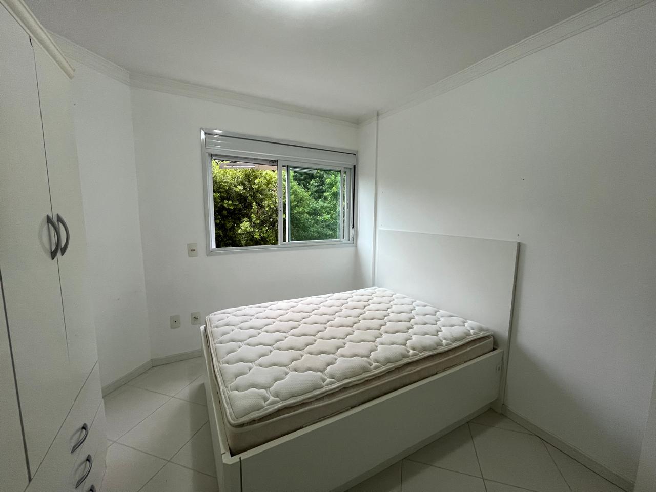Imagen 11